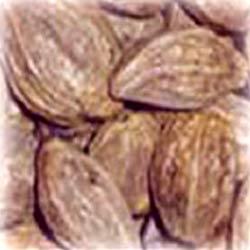 Manufacturers Exporters and Wholesale Suppliers of Harda  Myrobalam Navi Mumbai Maharashtra