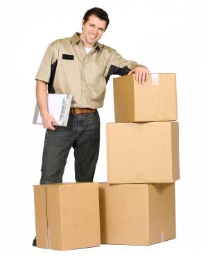 Door To Door Delivery Services Manufacturer Supplier Wholesale Exporter Importer Buyer Trader Retailer in Ghaziabad Delhi India