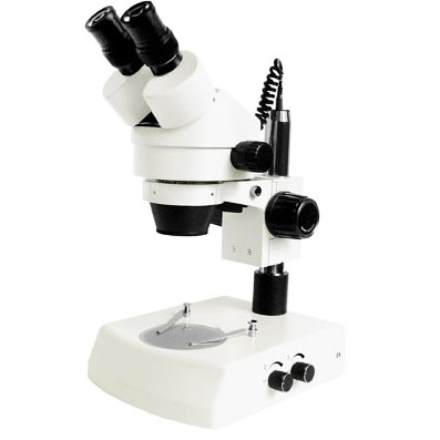 Zoom Stereo Microscope