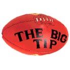 Manufacturers Exporters and Wholesale Suppliers of Trainer Leather Aussie Football Jalandhar Punjab