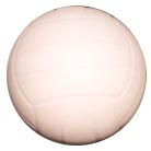 Manufacturers Exporters and Wholesale Suppliers of TRAINER NETBALL Jalandhar Punjab