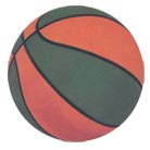 College Basketball Manufacturer Supplier Wholesale Exporter Importer Buyer Trader Retailer in Jalandhar Punjab India