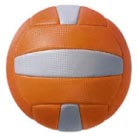 Manufacturers Exporters and Wholesale Suppliers of Club Volleyball Jalandhar Punjab