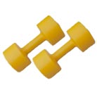 Manufacturers Exporters and Wholesale Suppliers of RUBBERISED DUMBELL Jalandhar Punjab