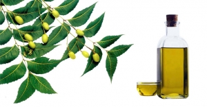 Manufacturers Exporters and Wholesale Suppliers of natural neem oil Surat Gujarat
