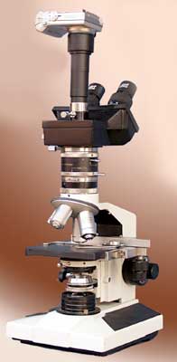 Trinocular Polarizing Microscope Manufacturer Supplier Wholesale Exporter Importer Buyer Trader Retailer in Ambala Cantt Haryana India