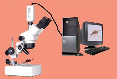 Zoom Stereo Trinocular Microscope Manufacturer Supplier Wholesale Exporter Importer Buyer Trader Retailer in Ambala Cantt Haryana India