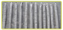 Resin Capsule Manufacturer Supplier Wholesale Exporter Importer Buyer Trader Retailer in Bilaspur Chhattisgarh India