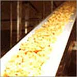 Food Grade Conveyor Belt