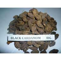 Manufacturers Exporters and Wholesale Suppliers of Black Cardamom Kapadwanj Gujarat