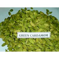 Green Cardamom
