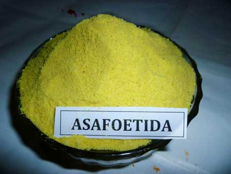 Manufacturers Exporters and Wholesale Suppliers of Asafoetida Powder Kapadwanj Gujarat