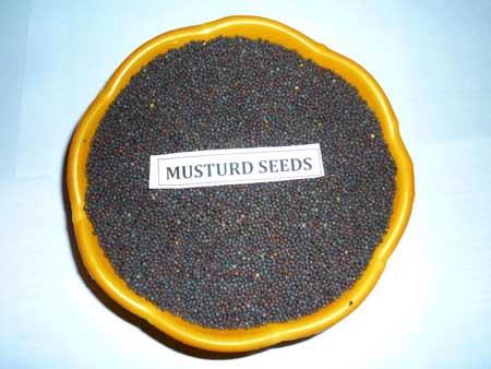 Mustard Seeds Manufacturer Supplier Wholesale Exporter Importer Buyer Trader Retailer in Kapadwanj Gujarat India