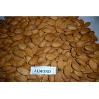 Almonds Manufacturer Supplier Wholesale Exporter Importer Buyer Trader Retailer in Kapadwanj Gujarat India