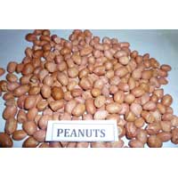 Manufacturers Exporters and Wholesale Suppliers of Peanuts Kapadwanj Gujarat