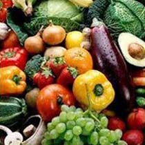 Food Ingredients And Spray Dried Powders