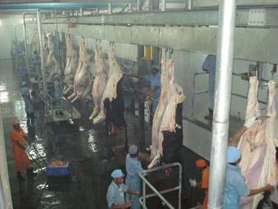 Manufacturers Exporters and Wholesale Suppliers of Dressing Line 01 Lucknow Uttar Pradesh