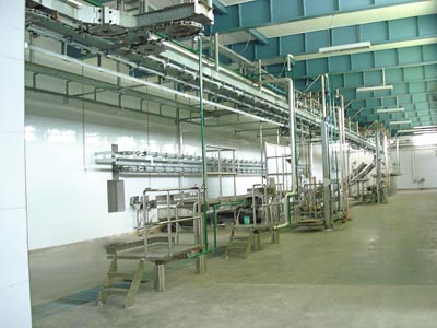 Manufacturers Exporters and Wholesale Suppliers of Dressing Line 02 Lucknow Uttar Pradesh