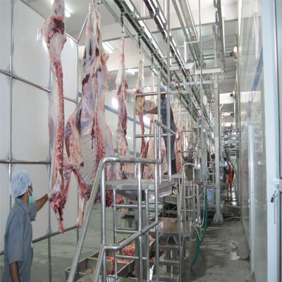 Manufacturers Exporters and Wholesale Suppliers of Trimming Washing 01 Lucknow Uttar Pradesh