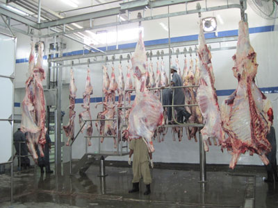 Manufacturers Exporters and Wholesale Suppliers of Quatering 01 Lucknow Uttar Pradesh