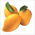 Mangoes