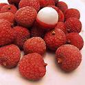 Litchi Manufacturer Supplier Wholesale Exporter Importer Buyer Trader Retailer in mumbai Maharashtra India