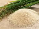 Manufacturers Exporters and Wholesale Suppliers of Rice mumbai Maharashtra