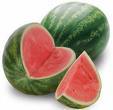 Manufacturers Exporters and Wholesale Suppliers of Watermelon mumbai Maharashtra