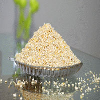 Maize Germs