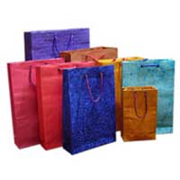 Manufacturers Exporters and Wholesale Suppliers of Paper Shopping Bags RAJAM Andhra Pradesh