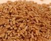 Manufacturers Exporters and Wholesale Suppliers of Whole Wheat Indore Madhya Pradesh