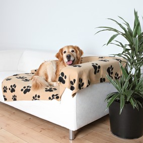 Dogs Blankets Manufacturer Supplier Wholesale Exporter Importer Buyer Trader Retailer in Panipat Haryana India