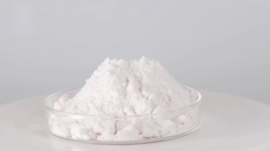 Manufacturers Exporters and Wholesale Suppliers of Para Chloro Meta Cresol Powder Vadodara Gujarat