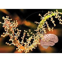 Body Science Literature Manufacturer Supplier Wholesale Exporter Importer Buyer Trader Retailer in Surendranagar Gujarat India