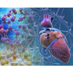 Manufacturers Exporters and Wholesale Suppliers of Human Body Science Literature Surendranagar Gujarat