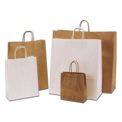 Manufacturers Exporters and Wholesale Suppliers of Paper Shopping Bags Surendranagar Gujarat