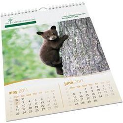 Manufacturers Exporters and Wholesale Suppliers of Calendar Surendranagar Gujarat