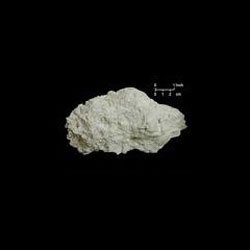 Manufacturers Exporters and Wholesale Suppliers of Industrial Limestone Jaipur 
