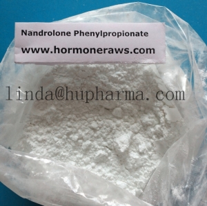 Manufacturers Exporters and Wholesale Suppliers of Hupharma Nandrolone Phenylpropionate injectable steroids Powder shenzhen 