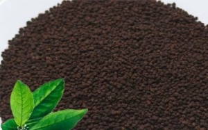 Black Tea / CTC Tea Manufacturer Supplier Wholesale Exporter Importer Buyer Trader Retailer in Guwahati Assam India