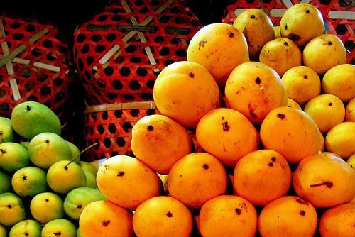 Mangoes Manufacturer Supplier Wholesale Exporter Importer Buyer Trader Retailer in HOSUR Tamil Nadu India