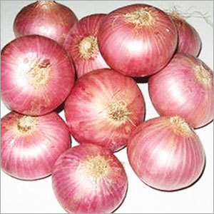 Manufacturers Exporters and Wholesale Suppliers of Onion HOSUR Tamil Nadu