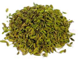 Fennel Seeds Manufacturer Supplier Wholesale Exporter Importer Buyer Trader Retailer in Raipur Chhattisgarh India