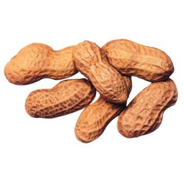 Shelled Peanuts Manufacturer Supplier Wholesale Exporter Importer Buyer Trader Retailer in Raipur Chhattisgarh India
