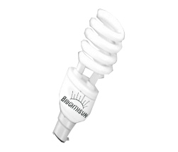 Manufacturers Exporters and Wholesale Suppliers of 23W Spiral CFL Bulb Tilak Road,Pune Maharashtra
