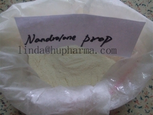 Manufacturers Exporters and Wholesale Suppliers of Hupharma Nandrolone Propionate injectable steroids Powder shenzhen 