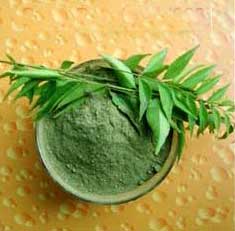 Curry Leaves Powder
