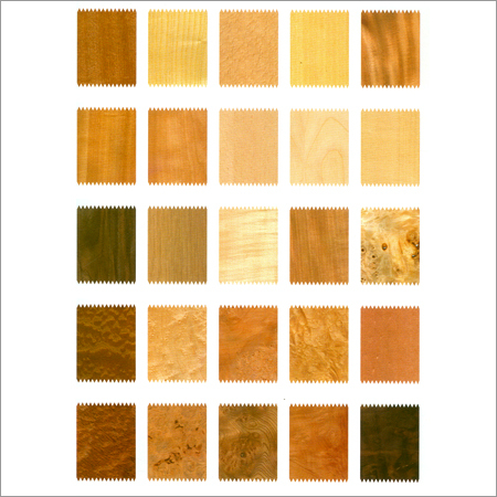 Decorative Veneers