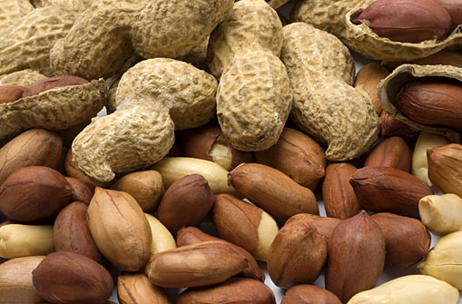 Peanut Manufacturer Supplier Wholesale Exporter Importer Buyer Trader Retailer in Sabarkantha Gujarat India