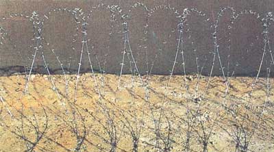 Concertina Barbed Wire